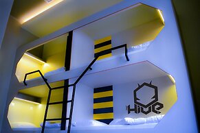 The Hive Party Hostel