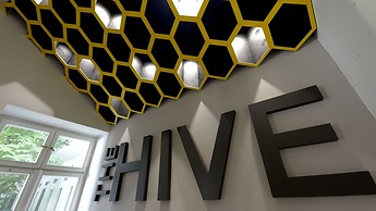 The Hive Party Hostel