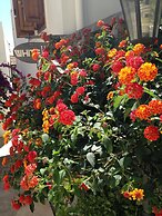 The White House Kalkan