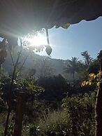 Hill Tribe Art House