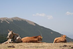 La Dimora della Zarina