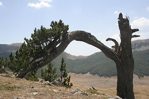 La Dimora della Zarina