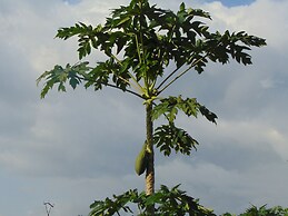 Residêncial Tamarindos