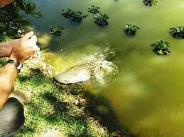 Cep Lago Hotel Ecológico