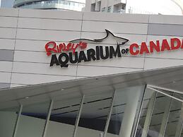 iResidence in Toronto- Vacation Home