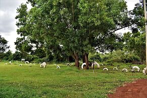 Our Native Village Eco Resort