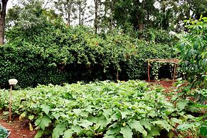 Our Native Village Eco Resort