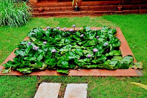 Our Native Village Eco Resort