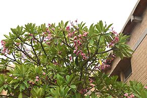 Our Native Village Eco Resort