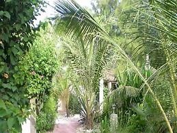 Le Calao du Lac Rose