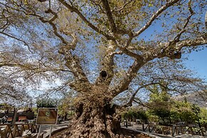Milatos Village Cretan Agrotourism Hotel