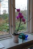 Agervig Bed & Breakfast