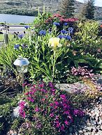 Hillview guest house