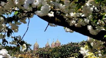 The Mill - Long Melford