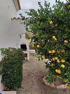 Casa Palmeras IV