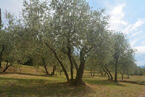 Podere delle Fanciulle