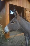 Podere delle Fanciulle