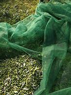 Podere delle Fanciulle