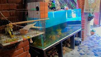 Pousada Recanto do Caja