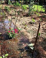 Dream Vision Guest House