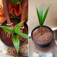 Dream Vision Guest House