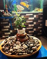 Dream Vision Guest House