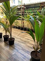 Dream Vision Guest House