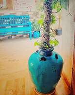 Dream Vision Guest House