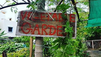 Dream Vision Guest House