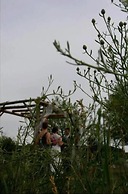 Country Hermitage B&B