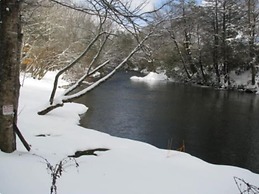 Linville River Log Cabins