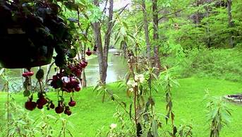 Linville River Log Cabins