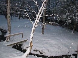 Linville River Log Cabins