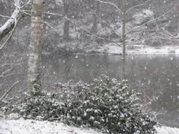 Linville River Log Cabins