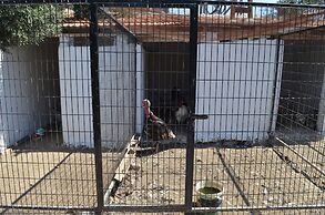 Zeytin Apart Otel & Aquapark