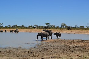 Chobe Sunset Chalets