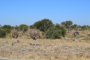Chobe Sunset Chalets