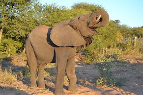 Chobe Sunset Chalets