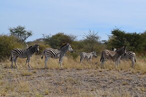 Chobe Sunset Chalets