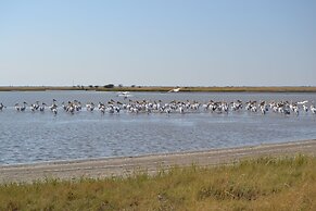 Chobe Sunset Chalets