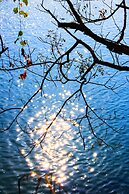 Courtyard Hotel – Li River Branch