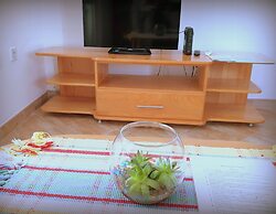 Apartments Lazarevic