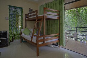 The Palms Resort & Bar