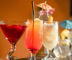 The Palms Resort & Bar