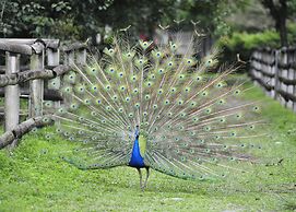 Shin Kong Chao Feng Ranch And Resort