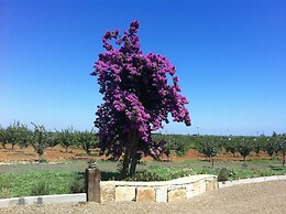 Agriturismo Sant'Andrea