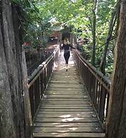 Kirkahvesi Garden - Campsite