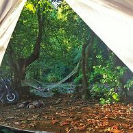 Kirkahvesi Garden - Campsite