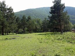 Kirkahvesi Garden - Campsite