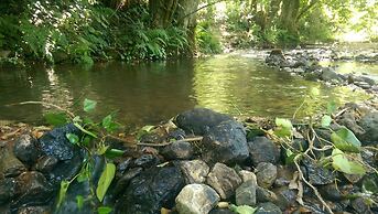 Kirkahvesi Garden - Campsite